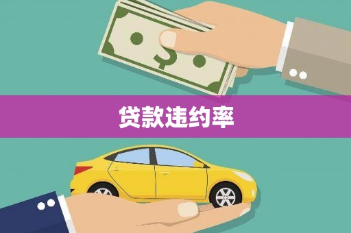 永泰贷款违约率