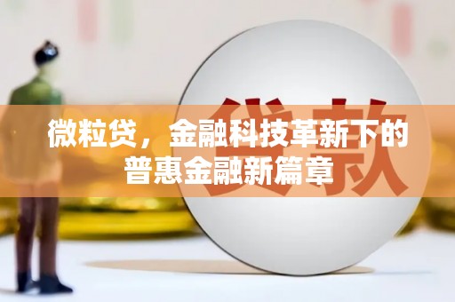 旅顺口微粒贷，金融科技革新下的普惠金融新篇章