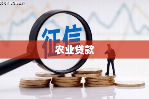 得荣农业贷款