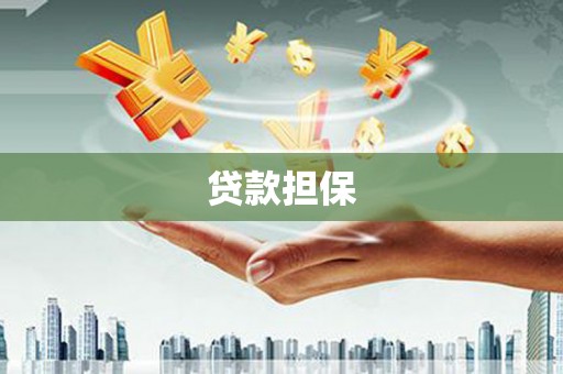 湖内贷款担保