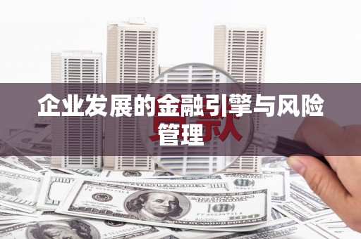 永年企业发展的金融引擎与风险管理