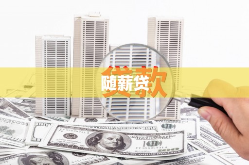 嵊泗随薪贷