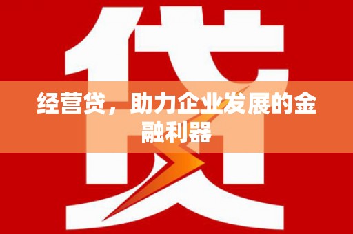 海东经营贷，助力企业发展的金融利器