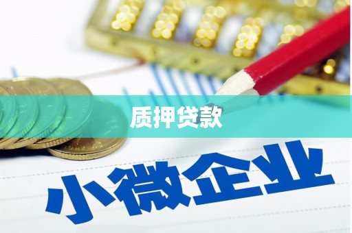 民雄质押贷款