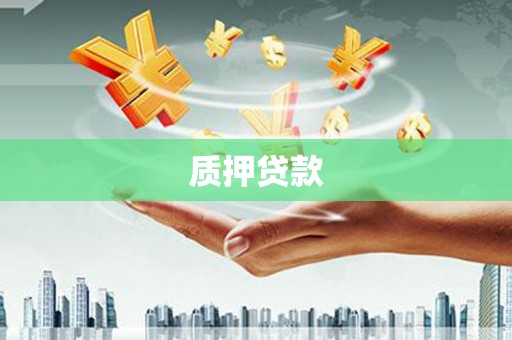 定远质押贷款