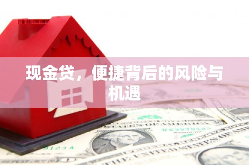 下城现金贷，便捷背后的风险与机遇
