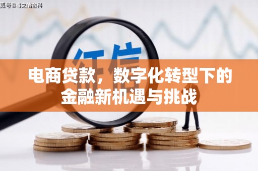 钦北电商贷款，数字化转型下的金融新机遇与挑战