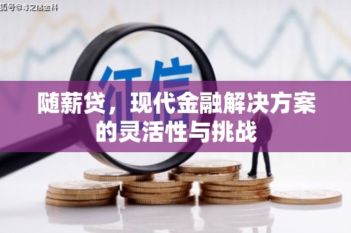 小港随薪贷，现代金融解决方案的灵活性与挑战