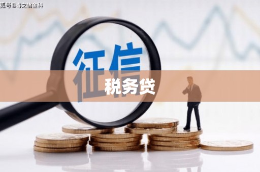 共和税务贷