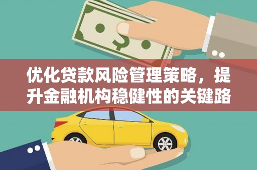 芦淞优化贷款风险管理策略，提升金融机构稳健性的关键路径
