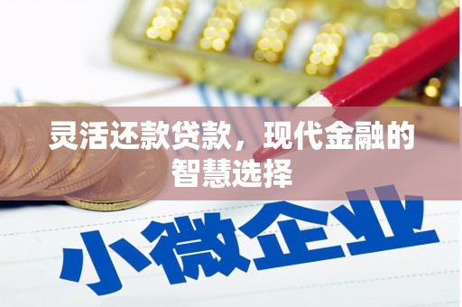 肥乡灵活还款贷款，现代金融的智慧选择