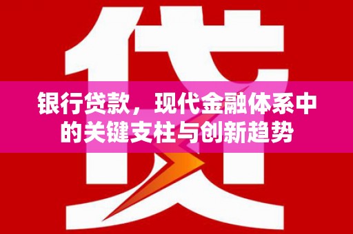 龙崎银行贷款，现代金融体系中的关键支柱与创新趋势