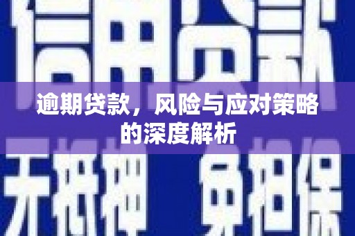 代县逾期贷款，风险与应对策略的深度解析