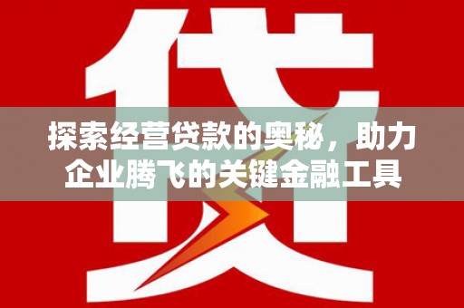 嘉兴探索经营贷款的奥秘，助力企业腾飞的关键金融工具