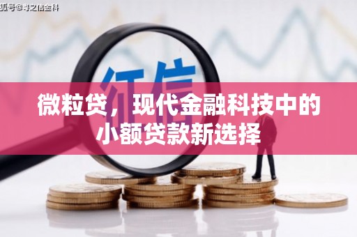 全南微粒贷，现代金融科技中的小额贷款新选择