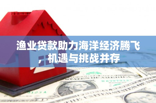 巩义渔业贷款助力海洋经济腾飞，机遇与挑战并存