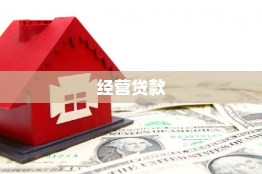 汝南经营贷款