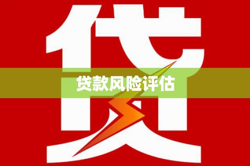 泰顺贷款风险评估