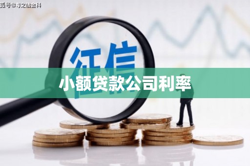 大林小额贷款公司利率