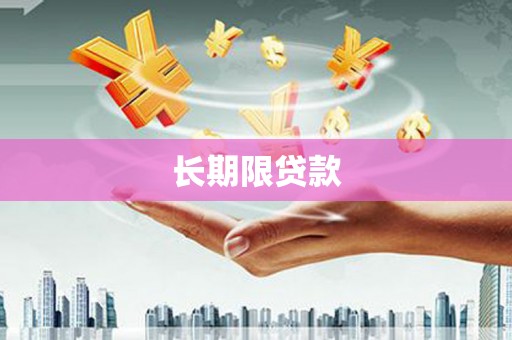 绥滨长期限贷款