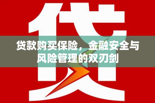 岳塘贷款购买保险，金融安全与风险管理的双刃剑