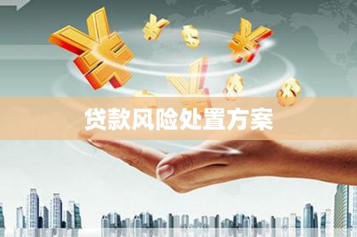 宜黄贷款风险处置方案