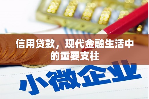 卓尼信用贷款，现代金融生活中的重要支柱