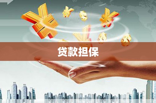 陆良贷款担保