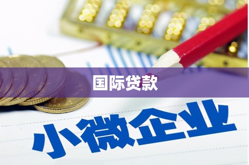 兰考国际贷款