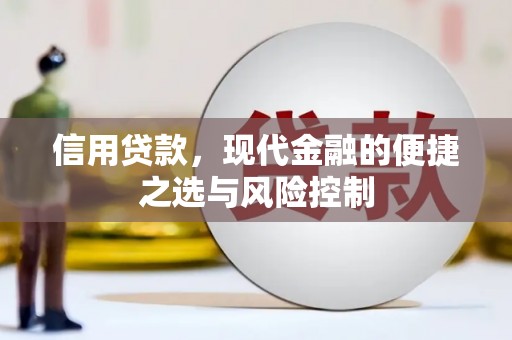 横县信用贷款，现代金融的便捷之选与风险控制