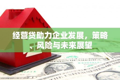 遂昌经营贷助力企业发展，策略、风险与未来展望