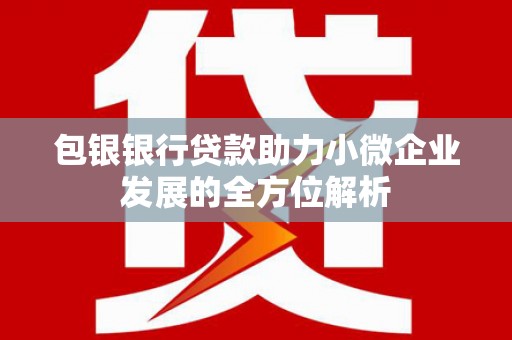 望谟包银银行贷款助力小微企业发展的全方位解析 望谟包银银行贷款助力小微企业发展的全方位解析