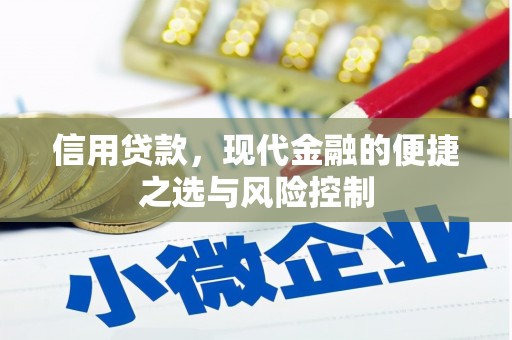 门源信用贷款，现代金融的便捷之选与风险控制