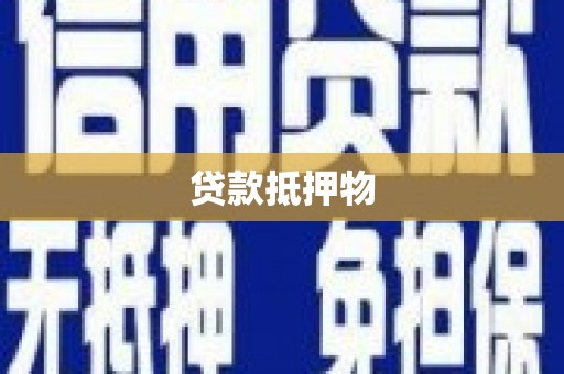 汤原贷款抵押物