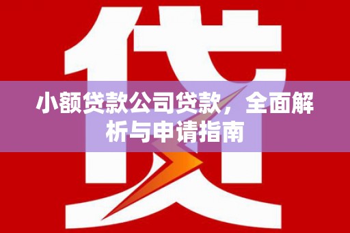 白山小额贷款公司贷款，全面解析与申请指南