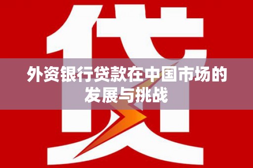 分宜外资银行贷款在中国市场的发展与挑战