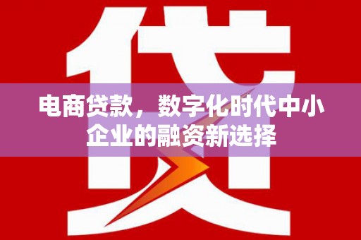 沙田电商贷款，数字化时代中小企业的融资新选择