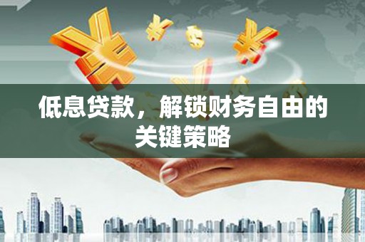 新园低息贷款，解锁财务自由的关键策略