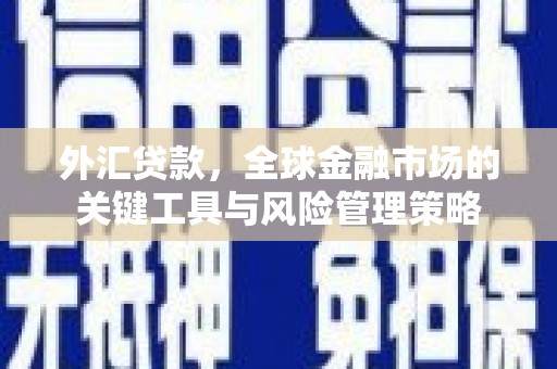 徽州外汇贷款，全球金融市场的关键工具与风险管理策略