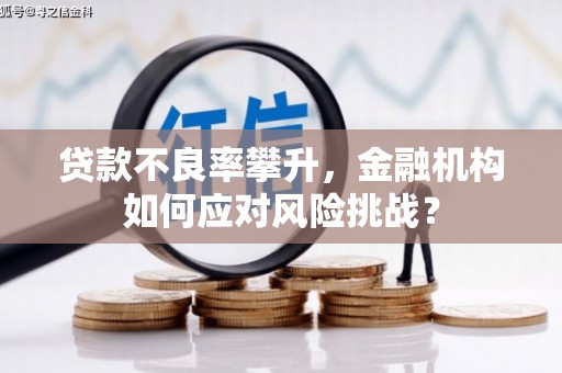 江山贷款不良率攀升，金融机构如何应对风险挑战？