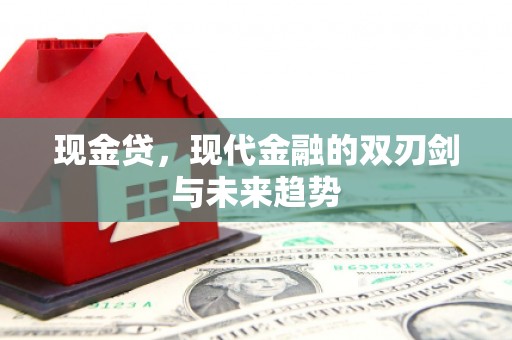 柳南现金贷，现代金融的双刃剑与未来趋势