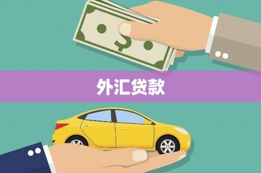 漠河外汇贷款