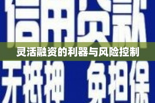 寮步灵活融资的利器与风险控制