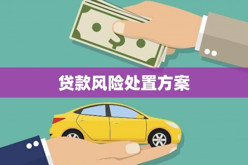 宁陵贷款风险处置方案