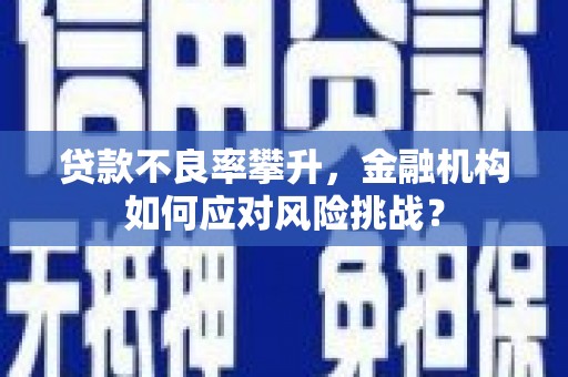 柳州贷款不良率攀升，金融机构如何应对风险挑战？