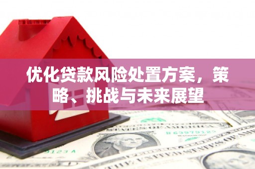 灵宝优化贷款风险处置方案，策略、挑战与未来展望