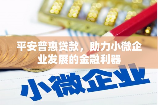 芎林平安普惠贷款，助力小微企业发展的金融利器