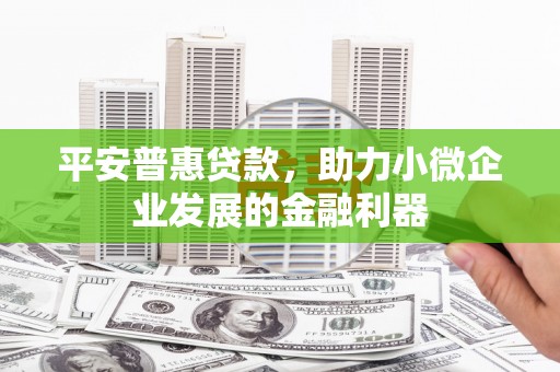 江源平安普惠贷款，助力小微企业发展的金融利器