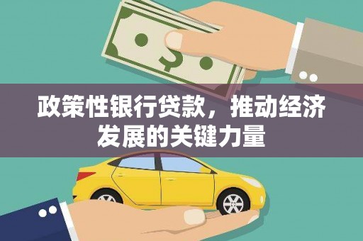 阳谷政策性银行贷款，推动经济发展的关键力量