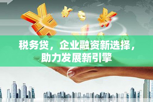 德令哈税务贷，企业融资新选择，助力发展新引擎